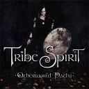 Tribe Spirit feat Mike Modulacja - Reconnect
