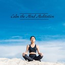 Mindfulness meditation v rlden Human Mind Universe Anti Stress Music… - Hang Drum Music