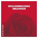 Socialdemokraternas Jubileumsk r - Alla tillsammans