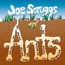 Joe Scruggs - The Parade