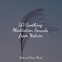 Sleep Songs 101 Wellness Calming Sounds - Peace Within