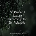 The Sleep Specialist Calming Sounds Medita o… - Divine Serenity