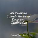 Calming Sounds Yoga Relaxing Sleep Sound - Warmth in the Sea