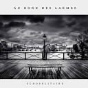 EchoSolitaire - Au bord des larmes