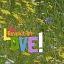 Ross Mayhew - It s Revolution Love