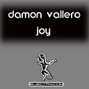 Damon Vallero - Joy
