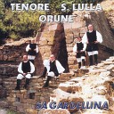 Tenore de Orune Santa Lulla - Sa gardellina Lestru a boghe leada