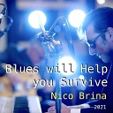 Nico Brina - Blues Will Help You Survive