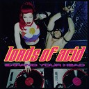 Lords Of Acid - Lover Cake Mix