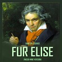 Band Of Legends - F r Elise Flute Version