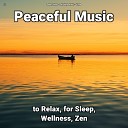 Deep Sleep Relaxing Music Yoga - Soothing Music Pt 50
