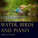 Inner Life Songs - Water Birds And Piano Inner Life Sounds