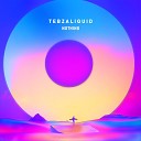 TebzaLiquid feat Nokulunga - See The Light