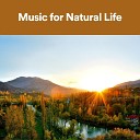 Sound of Nature Library - Quiet Secluded Life in the Country