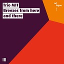 Trio MIT Christoph Cech Orwa Saleh Andreas… - Bluesual