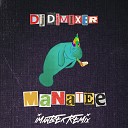 DJ DimixeR - Manatee Imanbek Extended Remix