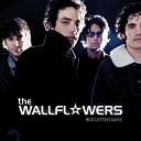 The Wallflowers - Feels Like Summer