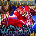 Mariachi Oro Puro - El Son de la Negra