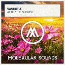 Vascotia - After The Sunrise Extended Mix