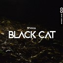 ФИНА - Black Cat