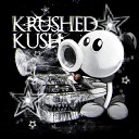 DJ Jacob - Krushed Kush