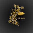 Eilams - The Gate