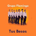 Grupo Flamingo - Tus Besos