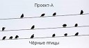 Проект А - Черные птицы