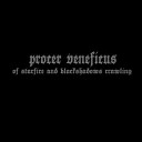 Procer Veneficus - The Consummate Form
