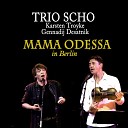 Trio Scho feat Karsten Troyke - Zingarella live