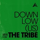 DOWNLow US - The Tribe Extended Mix