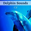 Calm Music Sound - Song of the Sea