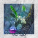 Enoch Light - Orchids In The Moonlight