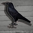 My nature - Crow