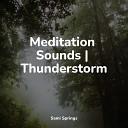 Healing Sounds for Deep Sleep and Relaxation Pet Care Music Therapy Relajantes sonidos de… - Sounds of Rain and Thunder