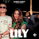 Dusha Dipzy feat Evill D Zayge - Lily