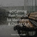 Calming Sounds Rain Sound Plus Sleep Songs with Nature… - Lapping Waves
