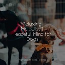 Dog Music Club Calming Music for Dogs Music For Dogs… - Sleepy Head