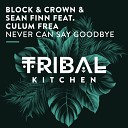 Block Crown Sean Finn feat Culum Frea - Never Can Say Goodbye Radio Edit