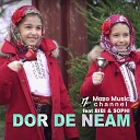 Mazo Music Channel feat Bibi Sophi - Dor De Neam Cover