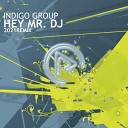 Indigo Group - Hey Mr DJ Dariush Romantic Remix