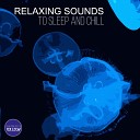 Relax Sleep Calm Sounds - Relax Sound with Beach Wind Loopable no fade