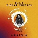 B E 9 Visual Poetics - Amnesia