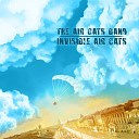 The Air Cats Band - Brothers Of The Storm
