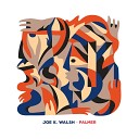 Joe K Walsh - Palmer