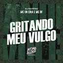 MC VN Cria MC BF DJ Silv rio - Gritando Meu Vulgo