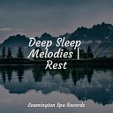 Pro Sound Effects Library Rain Sound Studio ASMR Sleep… - Pondering Thoughts