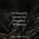 Entspannungsmusik Oase Tranquil Music Sound of Nature Music to Relax in Free… - Dream Bubbles