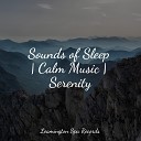 Soothing Chill Out for Insomnia White Noise Babies Academia de M sica para Massagem… - Ambient Soundscape for Sleep