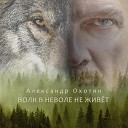 Александр Охотин - Волк в неволе не живет